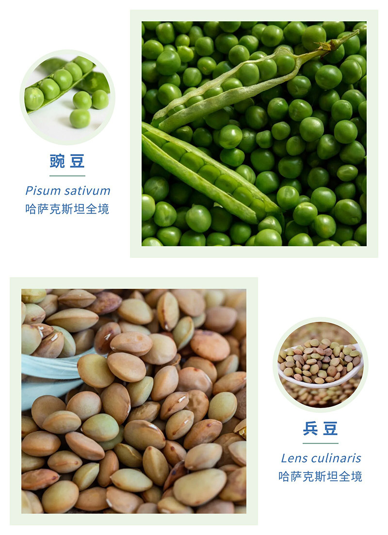 关于进口哈萨克斯坦食用豌豆、兵豆植物检疫要求的公告
