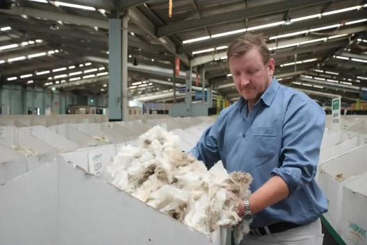关于进口匈牙利原羊毛检疫和卫生要求的公告