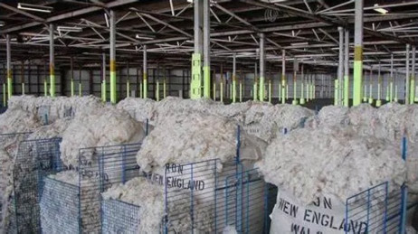 匈牙利原羊毛生产厂